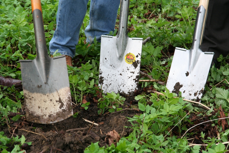 pepiniere-BRUE AURIAC-min_work-lawn-flower-tool-green-backyard-1103633-pxhere.com